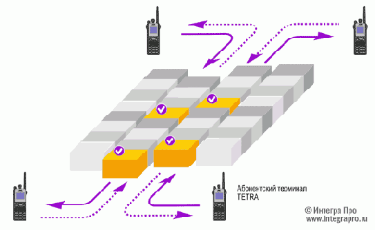   TETRA
